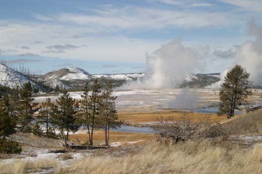 USA WY YellowstoneNP 2004NOV01 LowerGeyserBasin 014